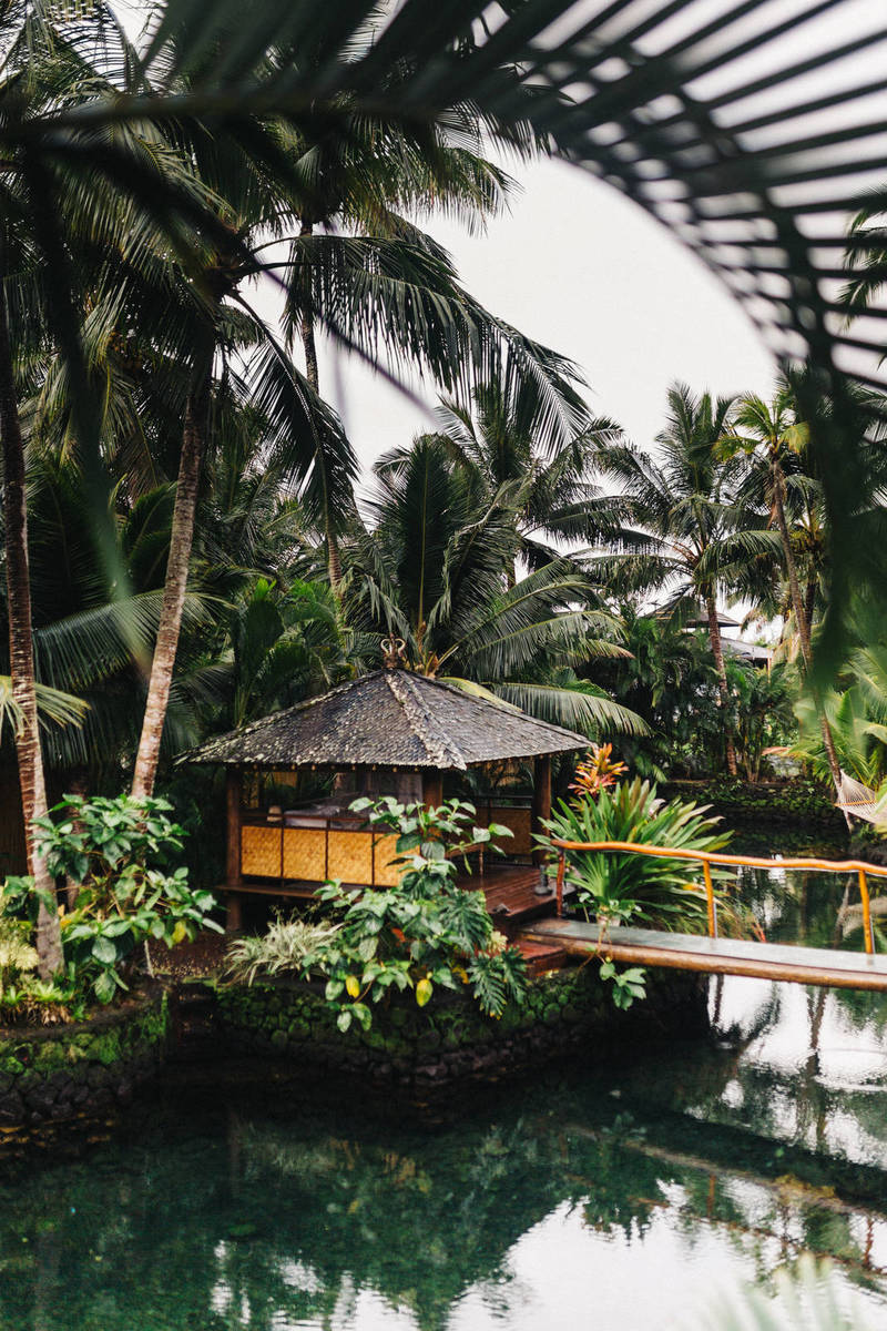 Keep Calm: Study Finds Link Between Emotions and Love