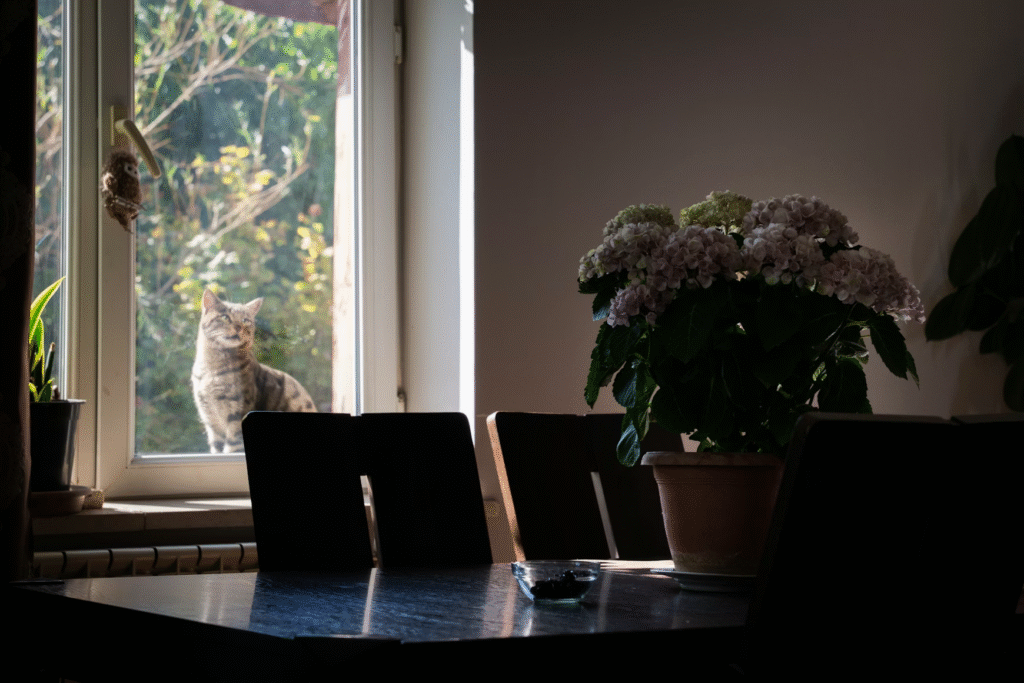 Healing After a Breakup Isn’t About What’s Wrong With You