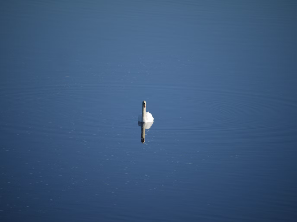 The Hidden Emotional Struggles of Single Life: What You Didn’t Expect