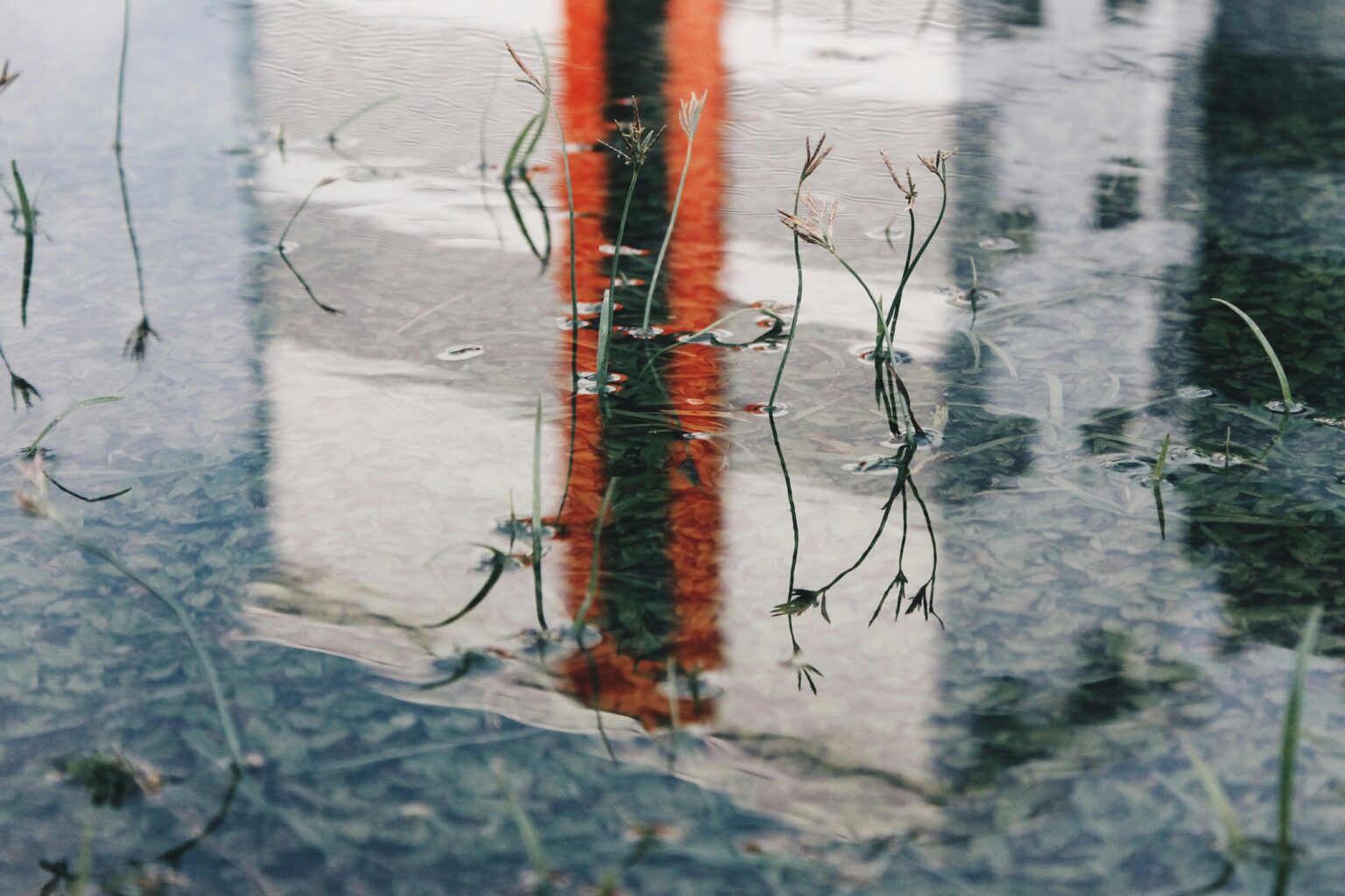 Why Red Flags Often Become Clear Only After Love Ends