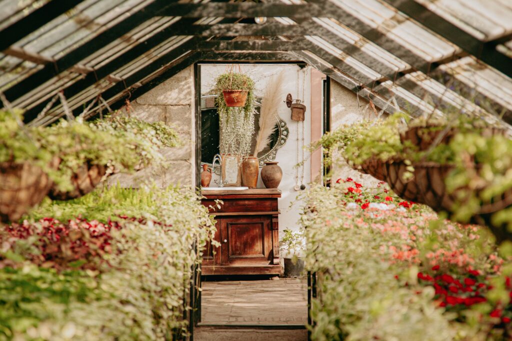 A quiet greenhouse pathway surrounded by lush tropical plants, offering peaceful dates.