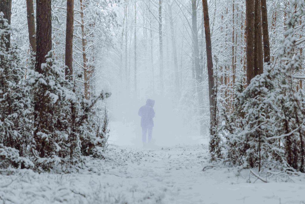Ever Heard Of Third Man Syndrome? Crazy Real-Life Stories Of People Who Were Saved By A Ghost Companion Silhouette of a person walking alone through a heavy winter blizzard forest, evoking third man syndrome.