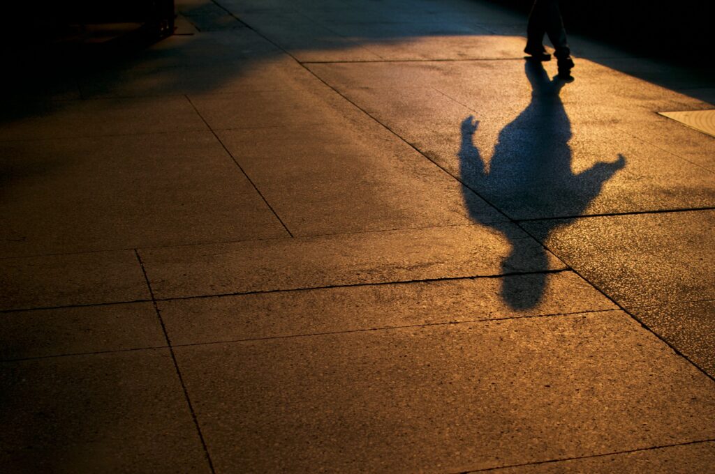 A long shadow cast on a stone pavement during sunset, representing a phantom guardian and survival presence.