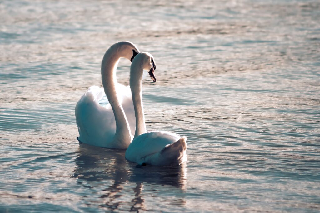 60-Second Soulmate Quiz Is Scarily Accurate